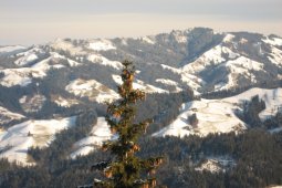 Bergklub: Blueme (Heiligenschwendi) (1392 m.ü.M.)