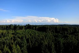 Bergklub: Chutzenturm (45m) (820 m.ü.M.)